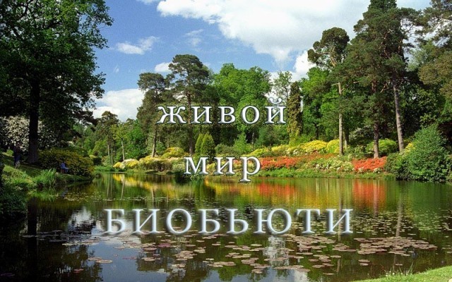 ZHivoy-mir-BIOBYUTI.jpg